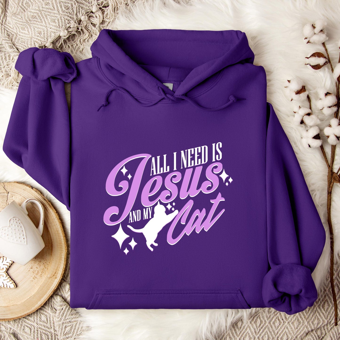 All I Need Is Jesus And My Cat Hoodie
