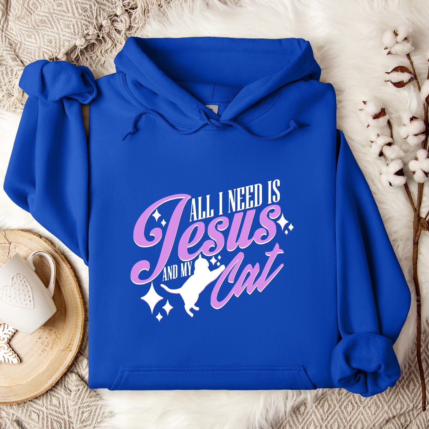 All I Need Is Jesus And My Cat Hoodie