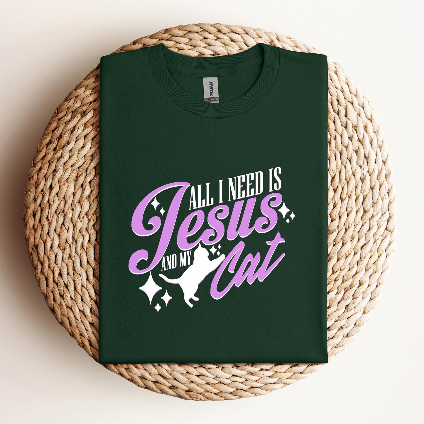 All I Need Is Jesus And My Cat