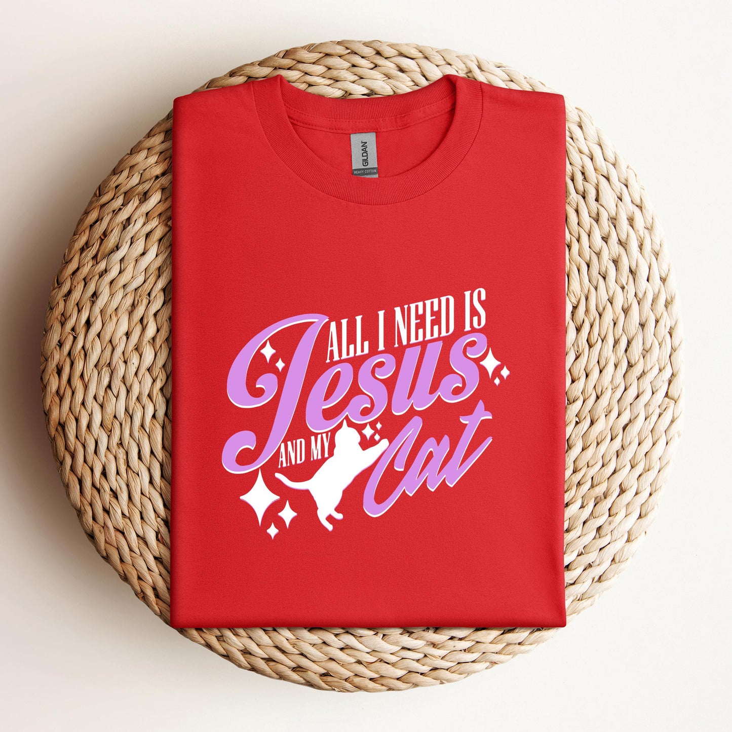 All I Need Is Jesus And My Cat