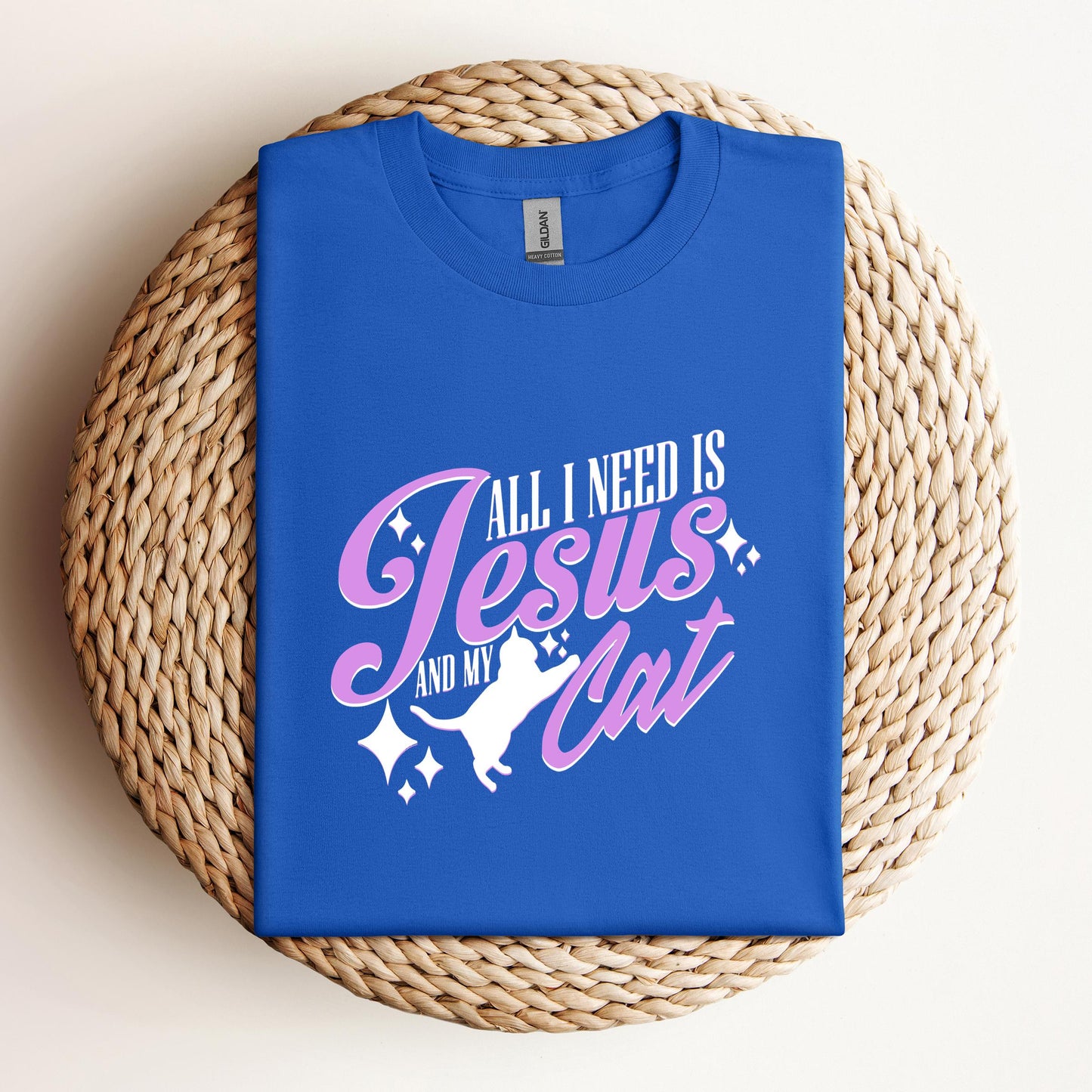 All I Need Is Jesus And My Cat