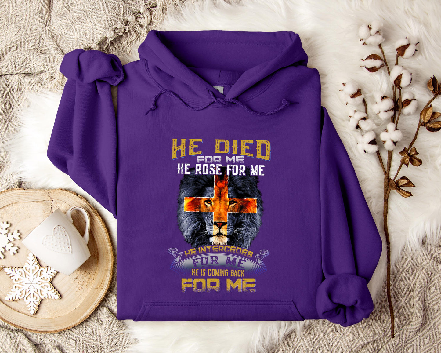 He Is Coming Back For Me Lion Hoodie