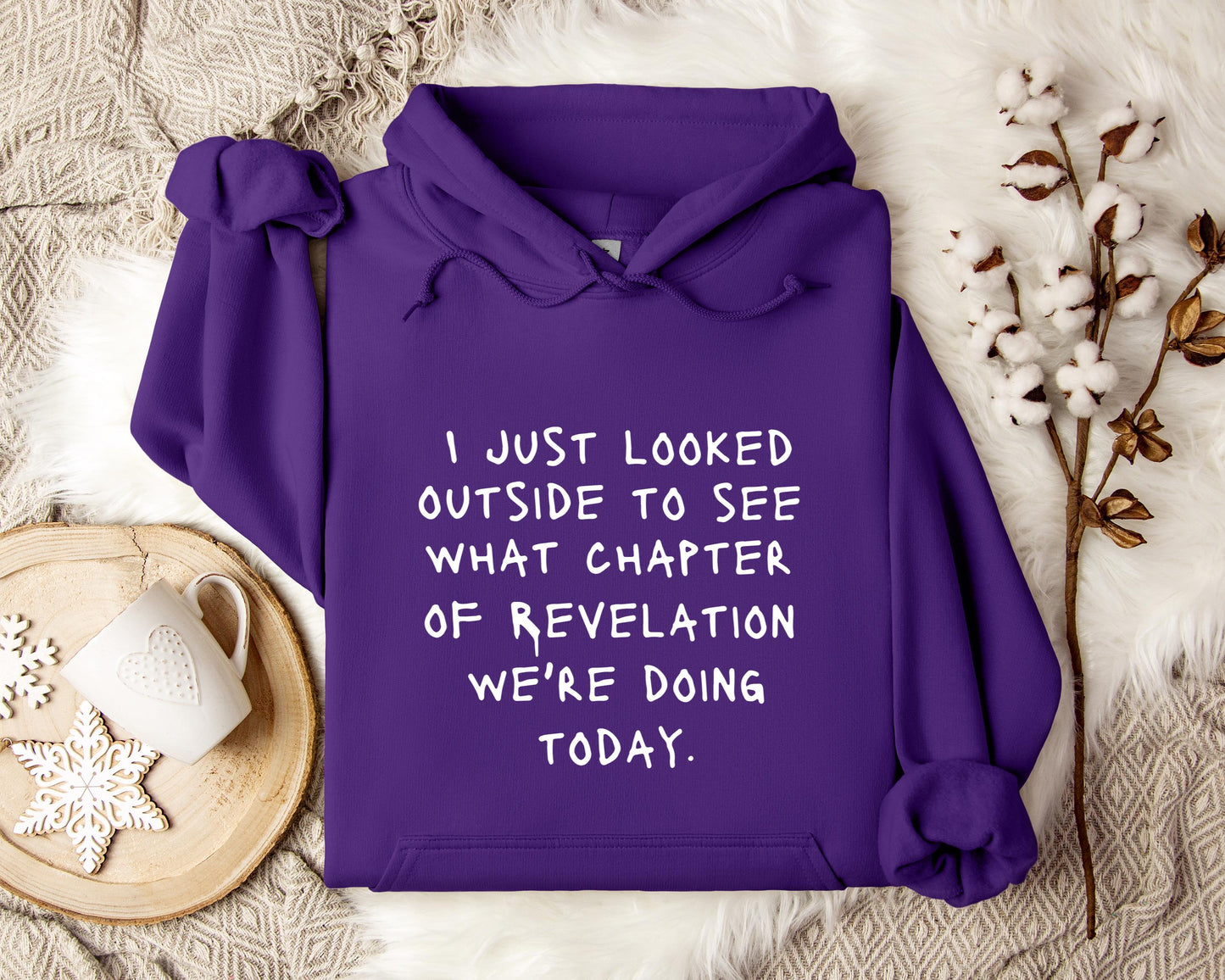 I Just Looked Outside To See What Chapter Of Revelation We're Doing Today Hoodie