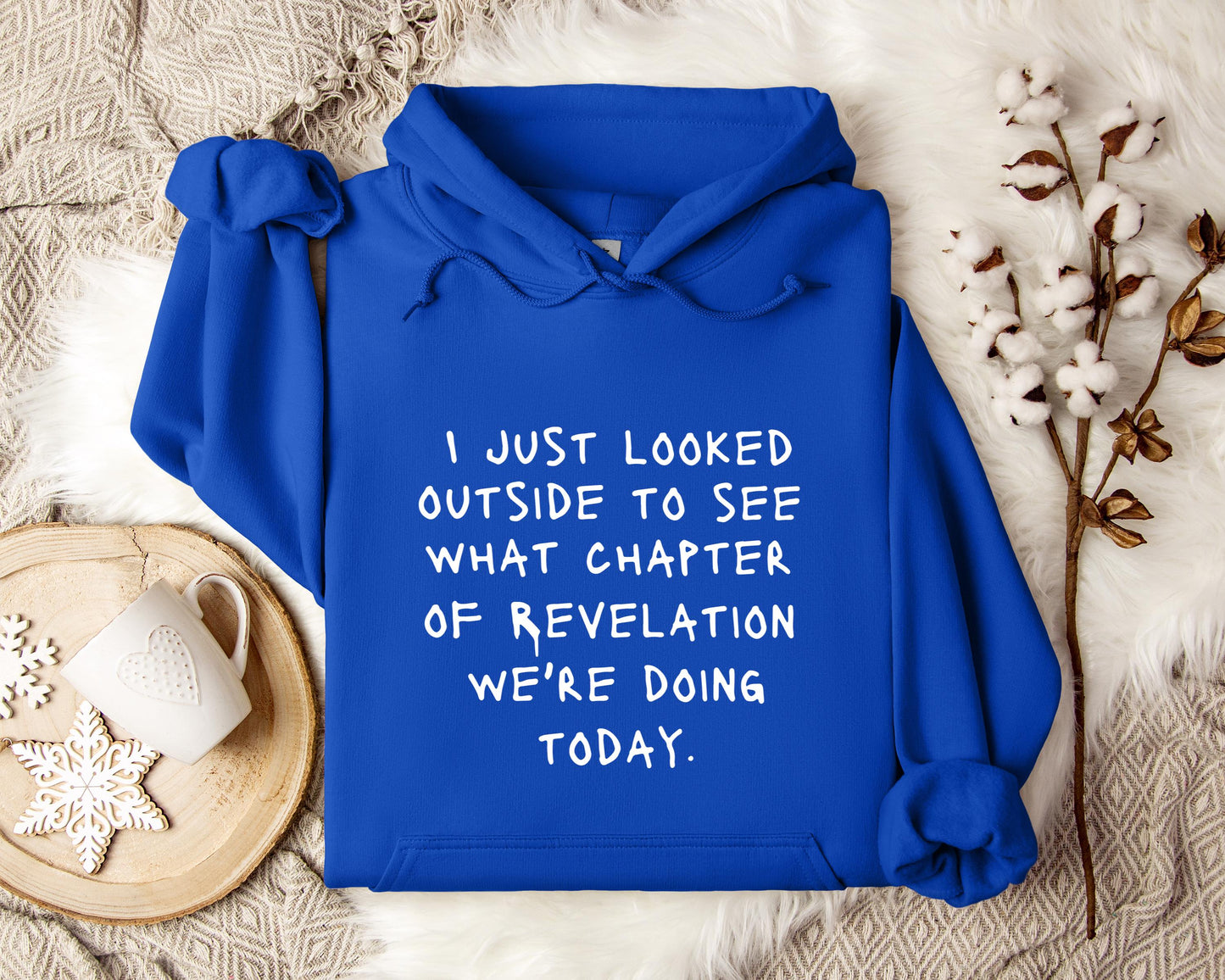 I Just Looked Outside To See What Chapter Of Revelation We're Doing Today Hoodie