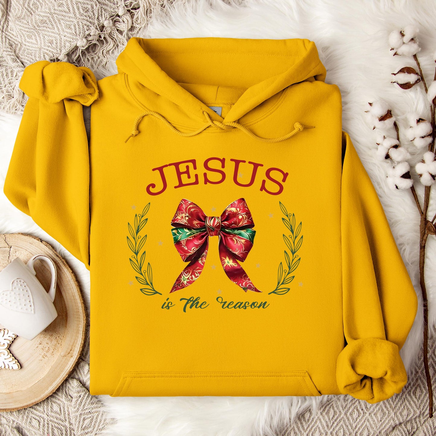 Jesus Is The Reason 02 Hoodie