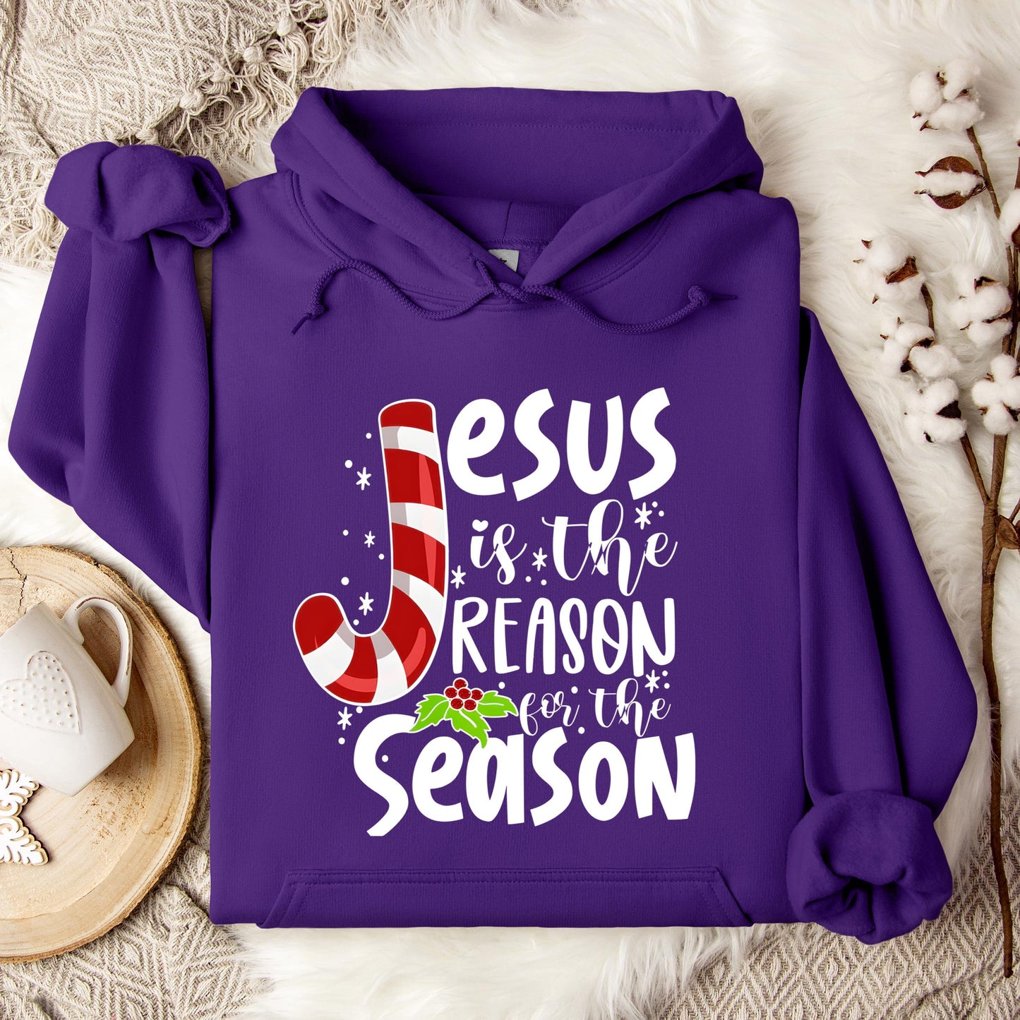 Jesus Is The Reason For The Season Hoodie