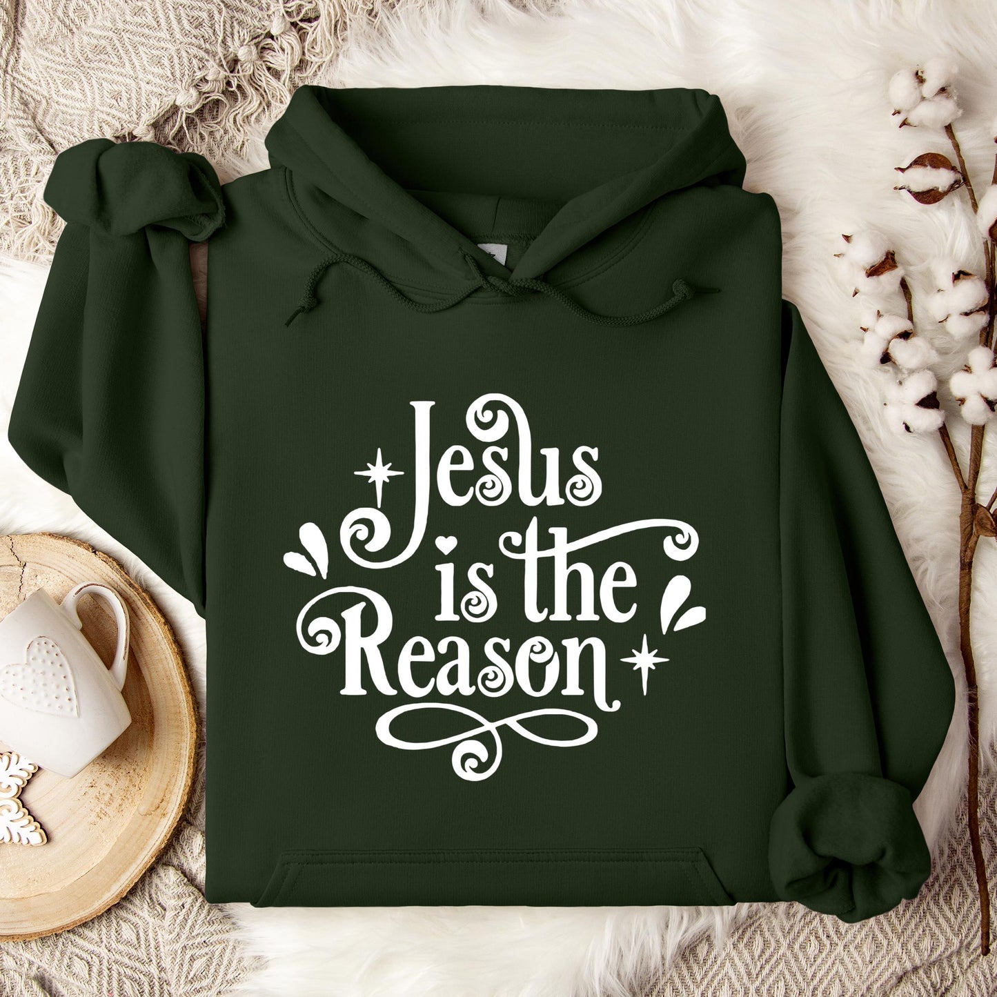 Jesus Is The Reason Hoodie