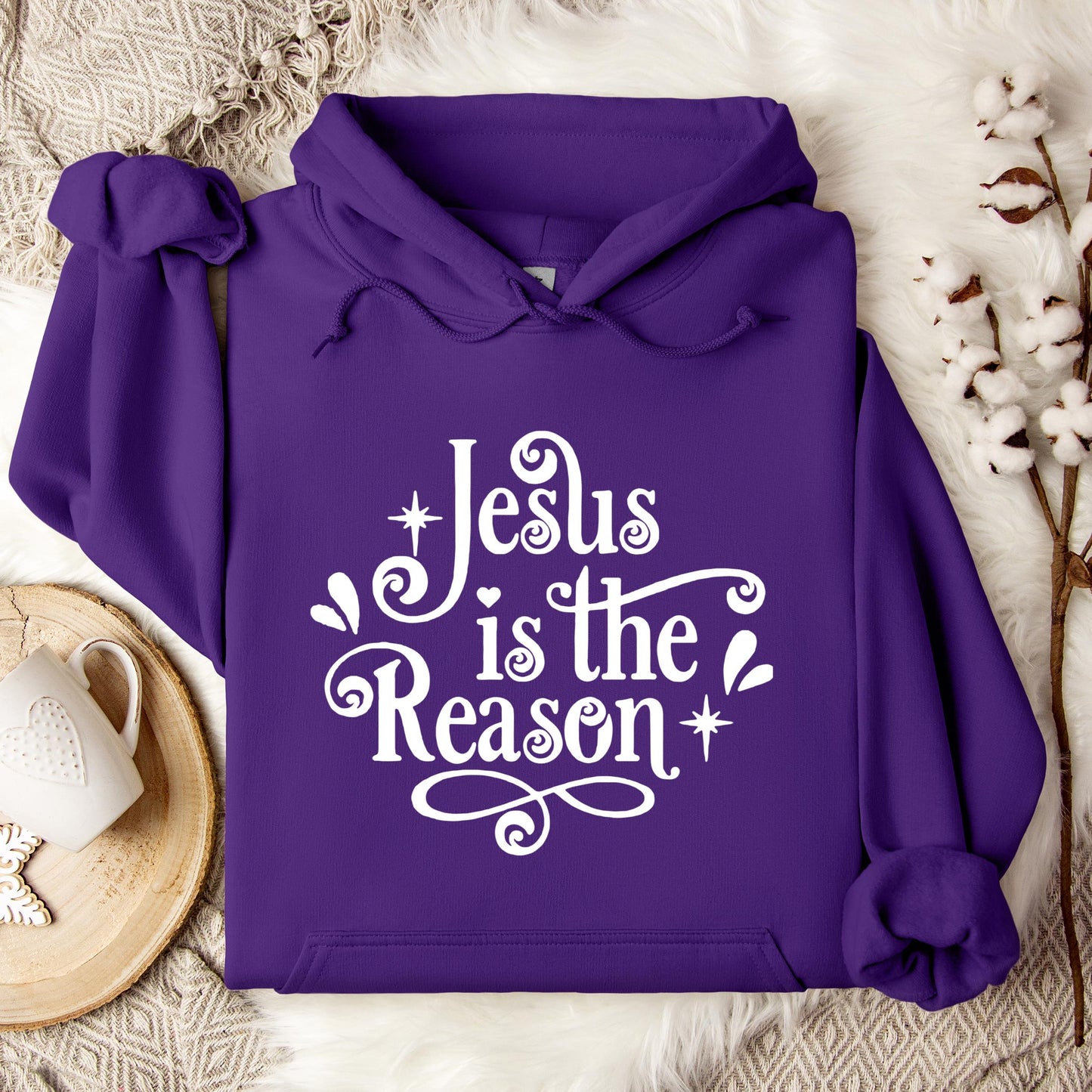 Jesus Is The Reason Hoodie