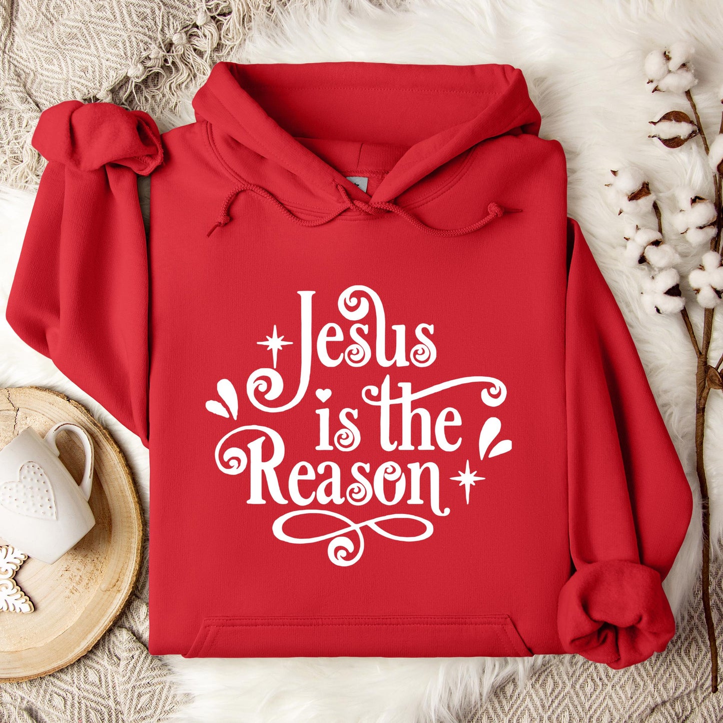 Jesus Is The Reason Hoodie