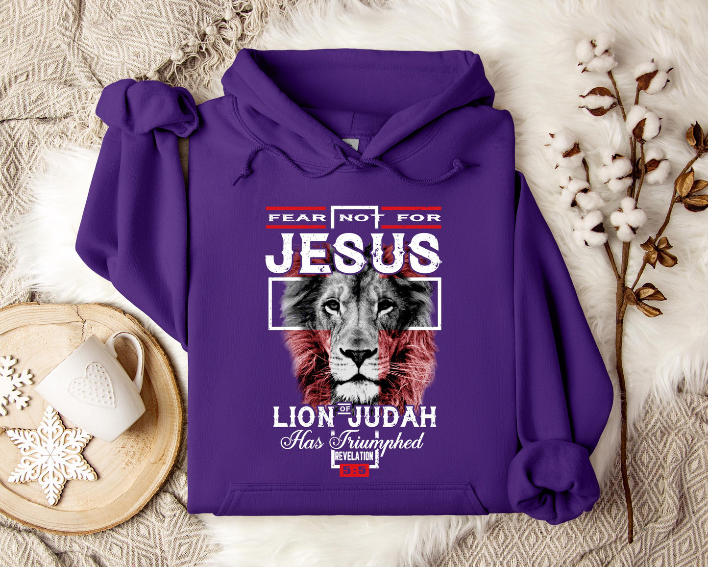 Lion Of Judah Revelation 55 Hoodie