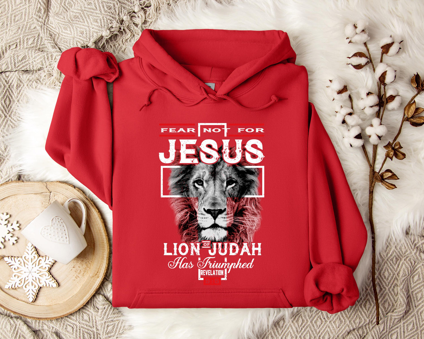 Lion Of Judah Revelation 55 Hoodie