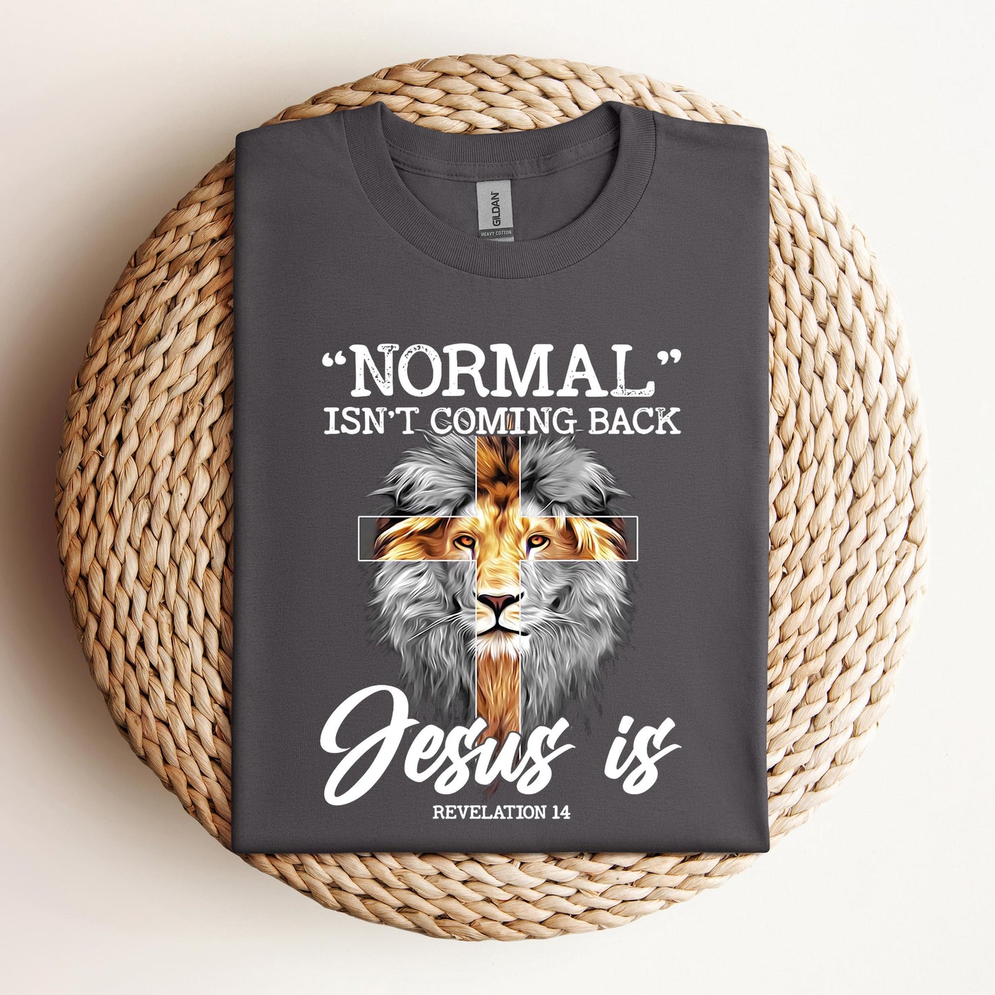 Normal Isn't Coming Back