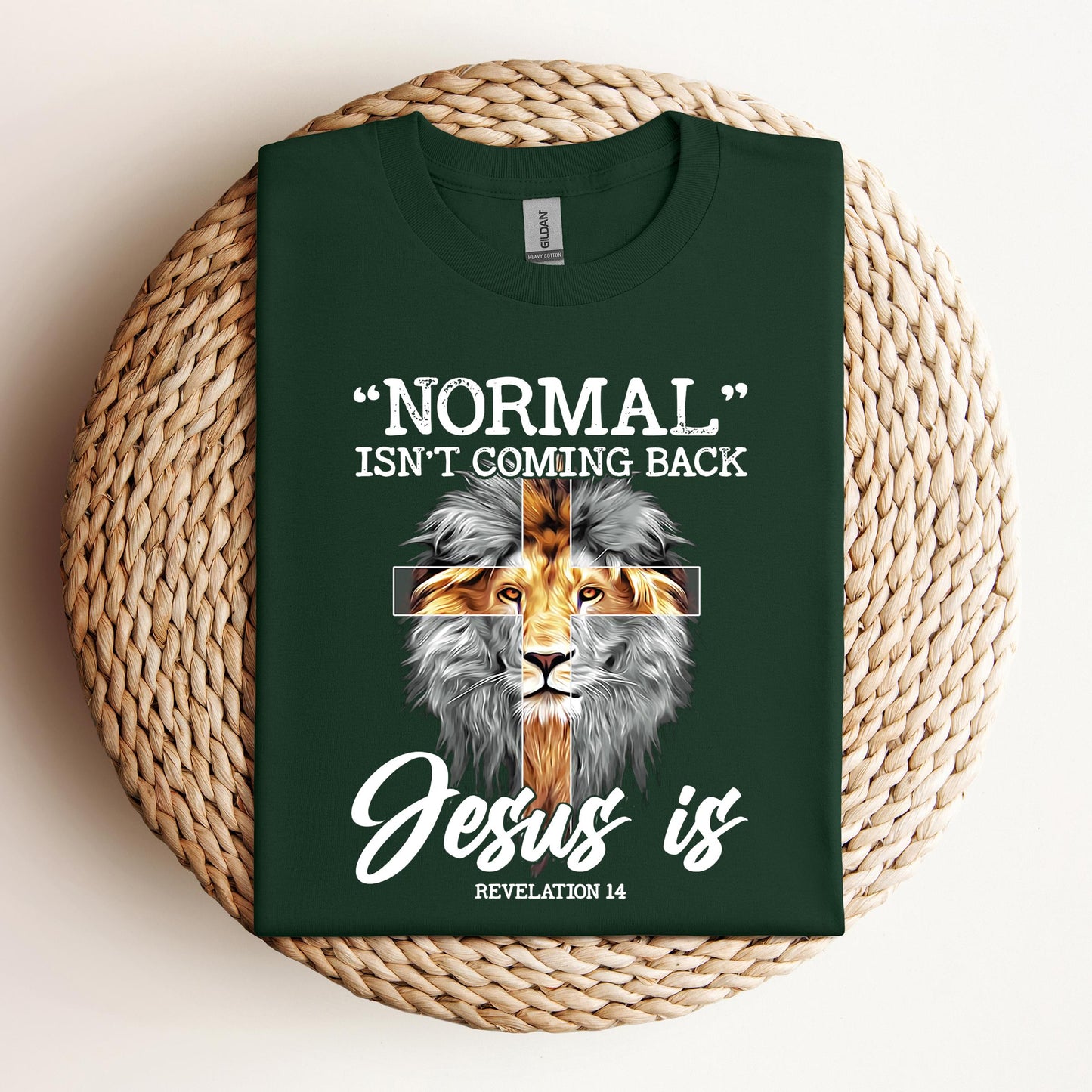 Normal Isn't Coming Back