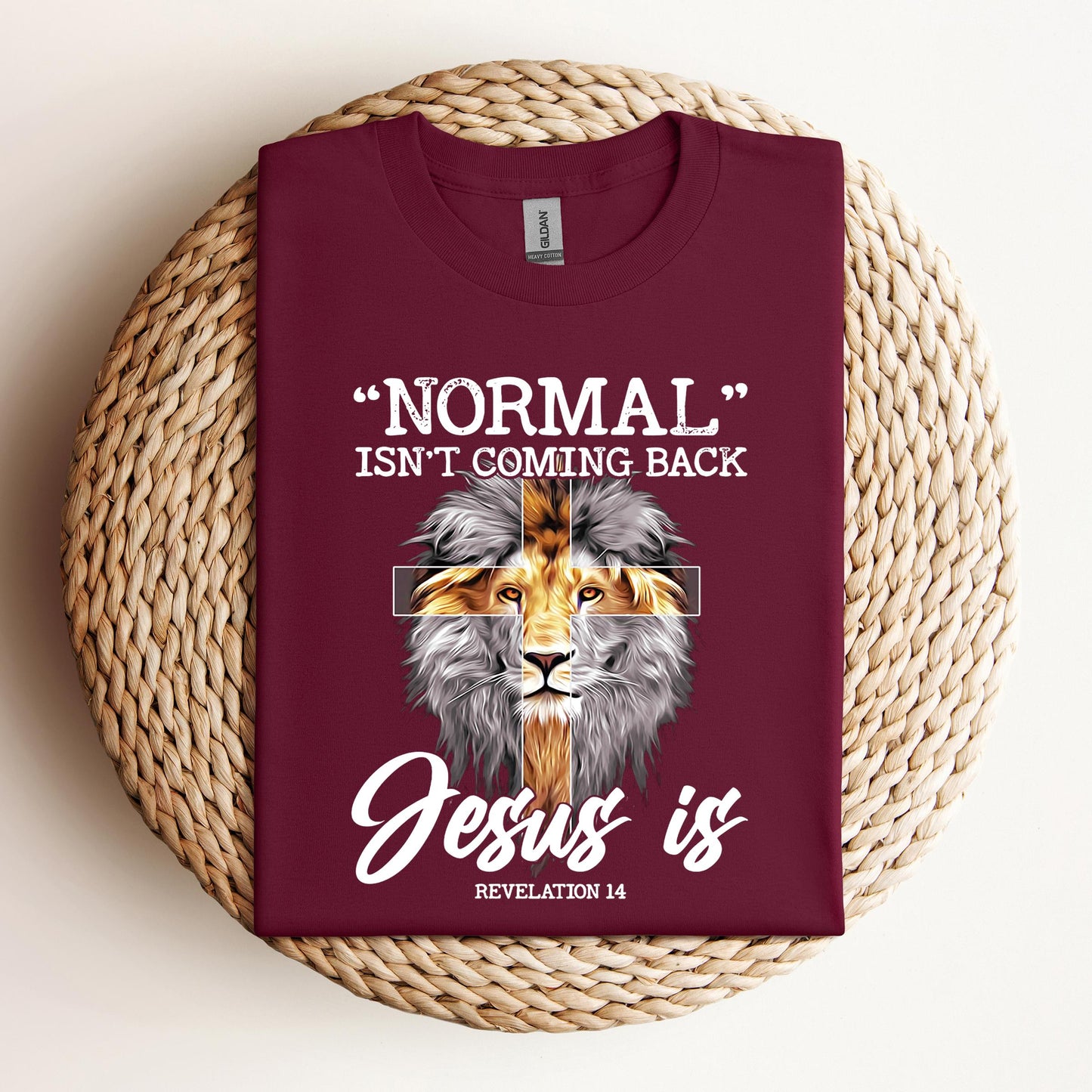 Normal Isn't Coming Back
