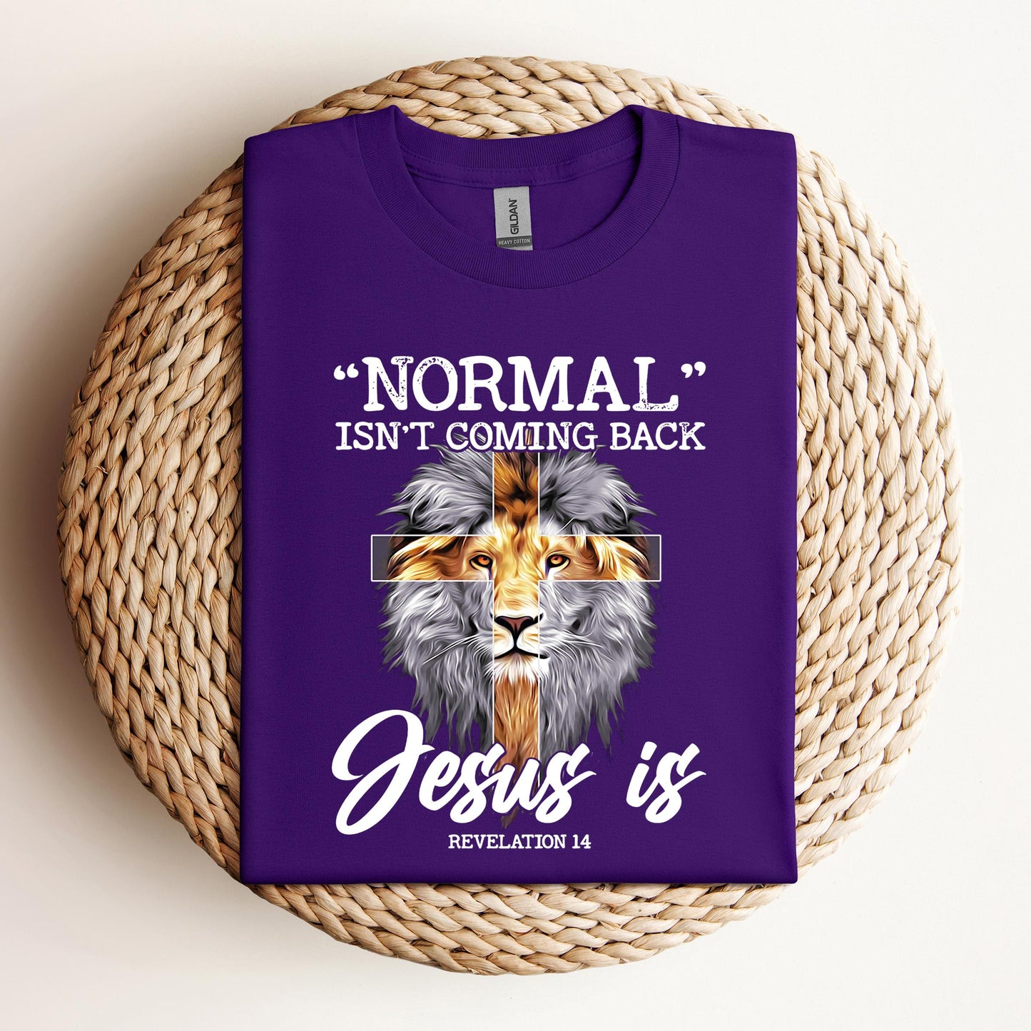 Normal Isn't Coming Back