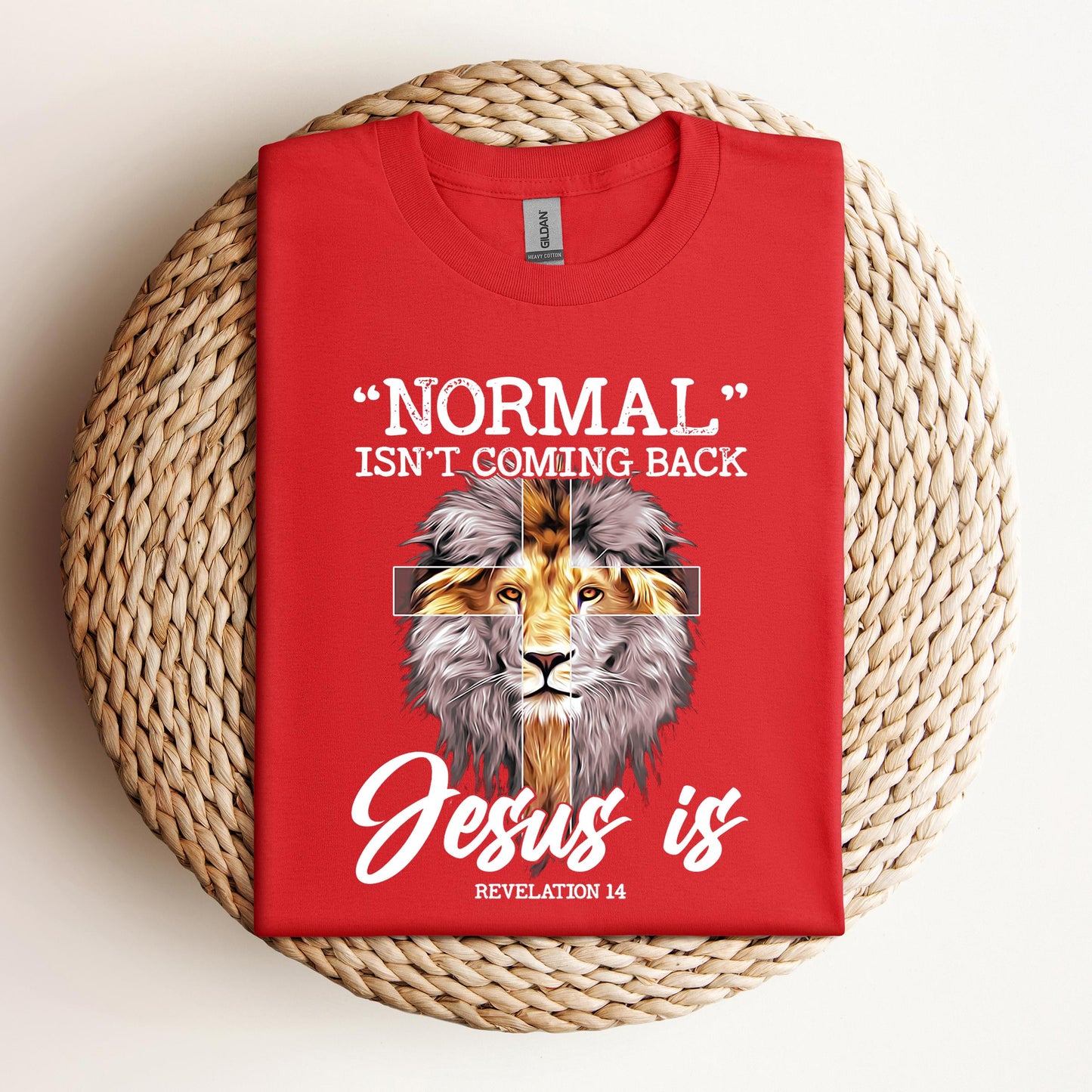 Normal Isn't Coming Back