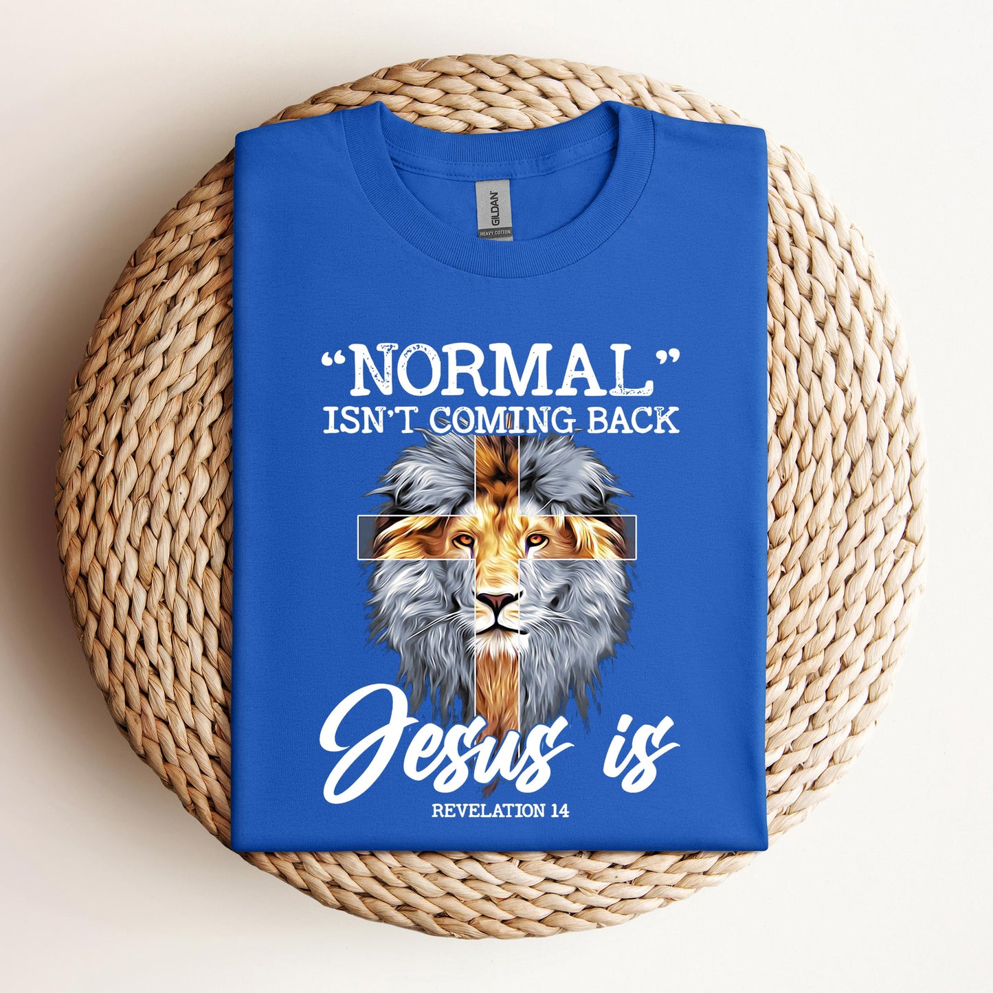 Normal Isn't Coming Back