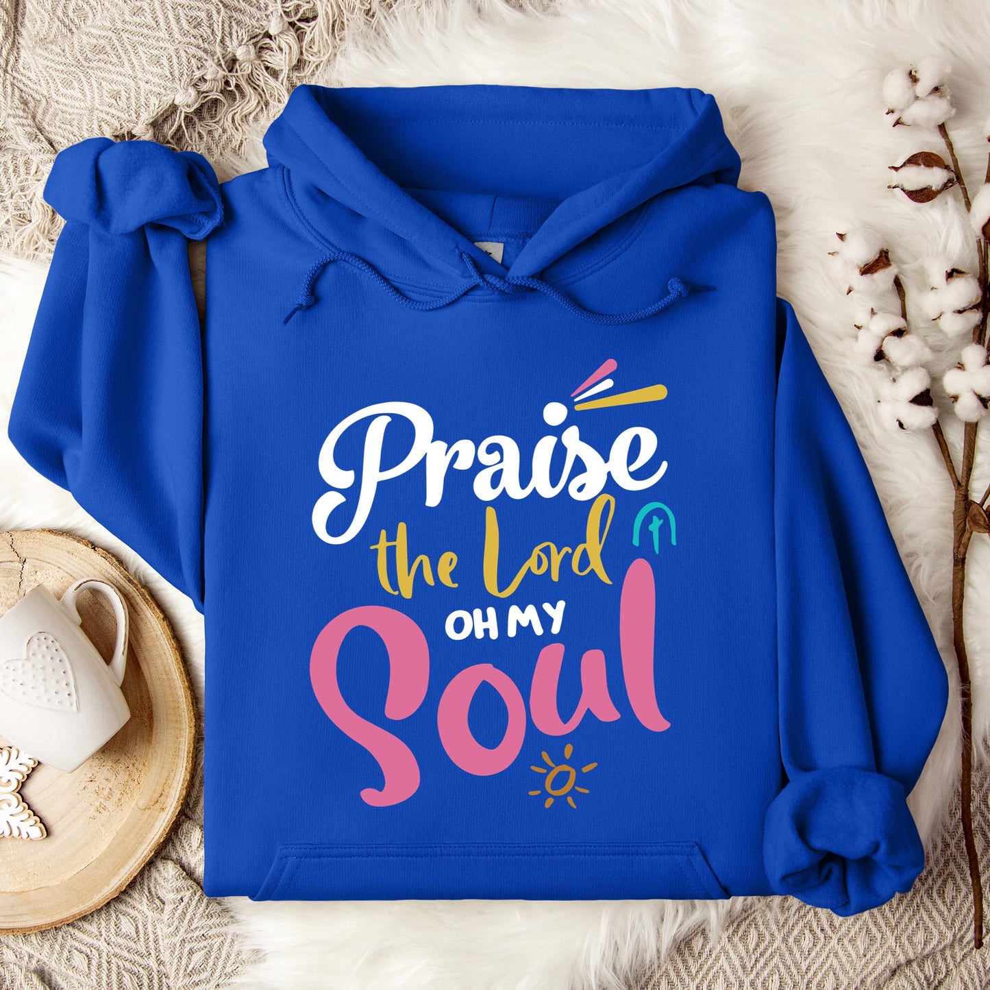 Praise The Lord Oh My Soul Hoodie