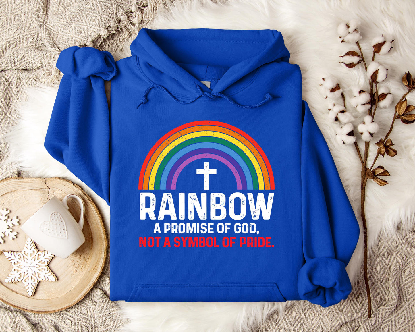 Rainbow A Promise Of God Not A Symbol Of Pride Hoodie