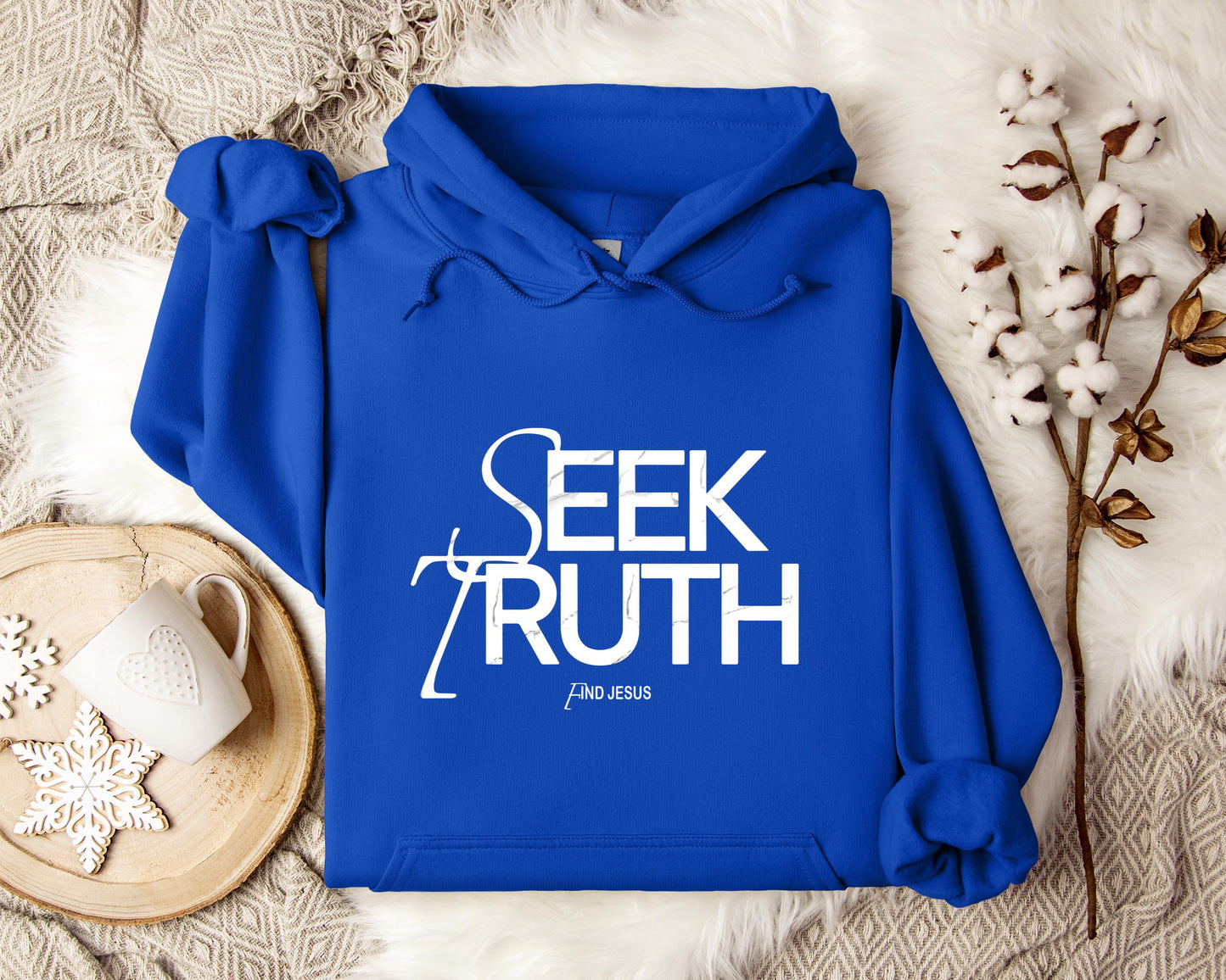Seek Truth Find Jesus Hoodie