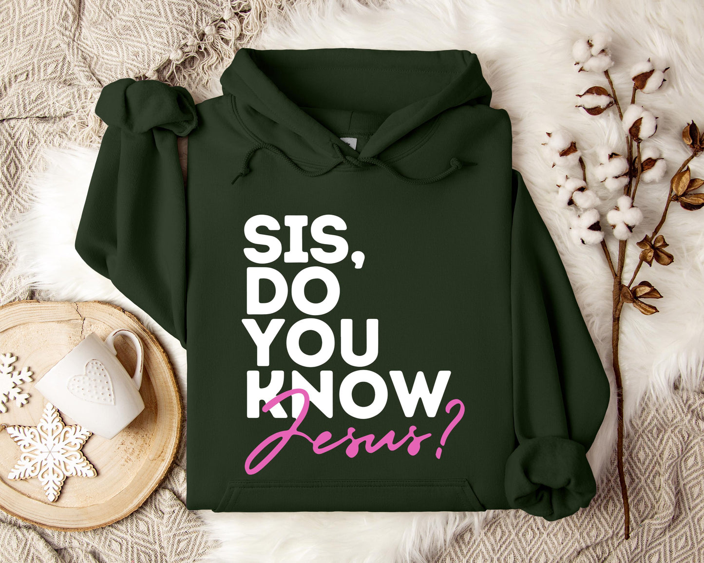 Sis Do You Know Jesus Hoodie