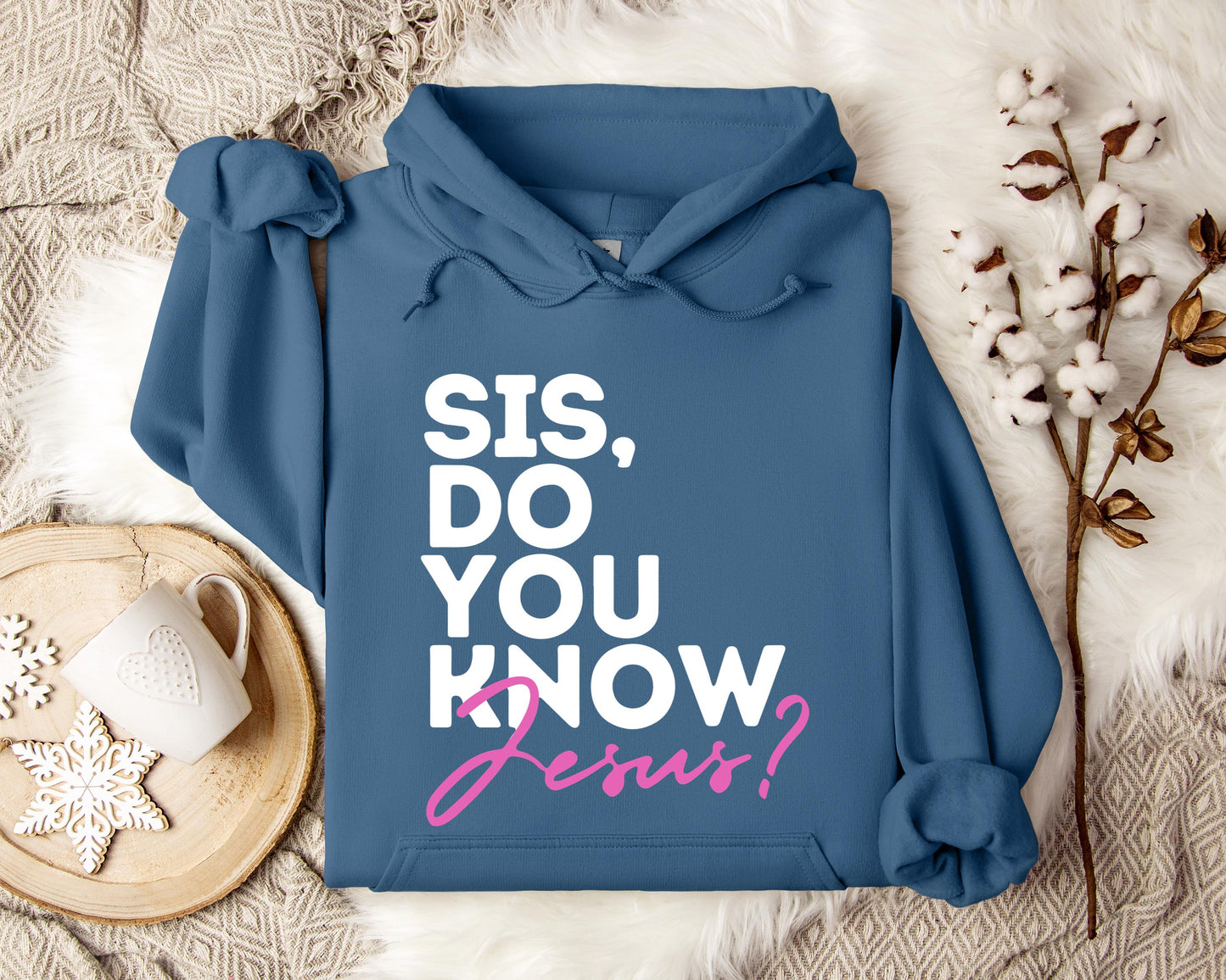 Sis Do You Know Jesus Hoodie