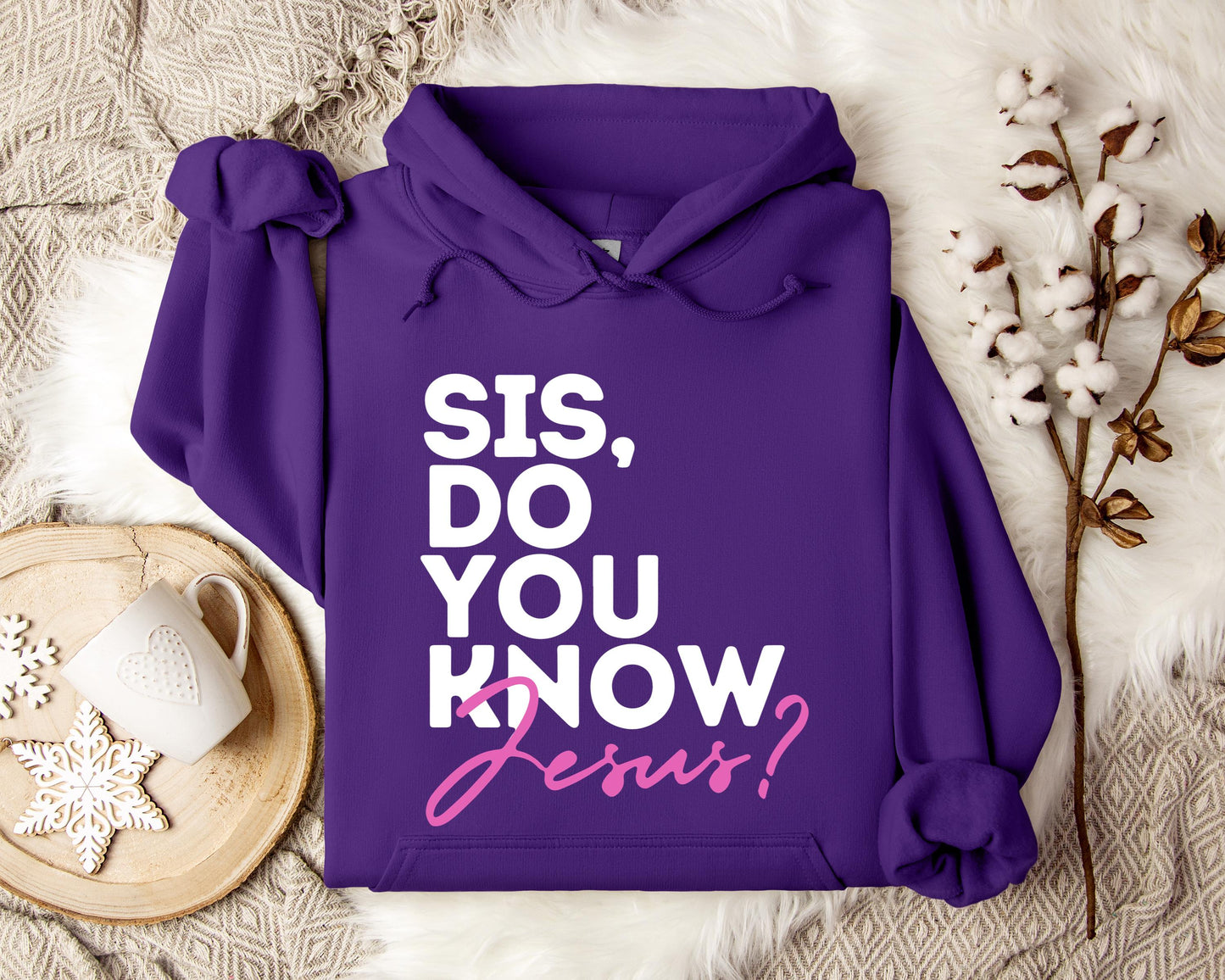Sis Do You Know Jesus Hoodie