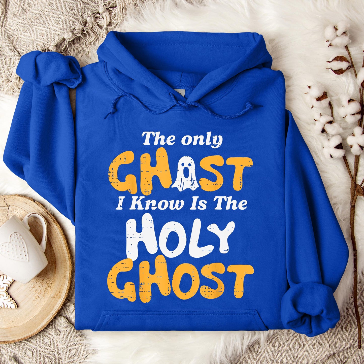 The Only Ghost I Know Is Holy Ghost 01 Hoodie