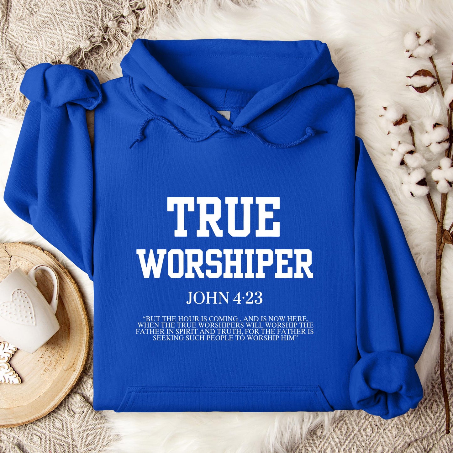 True Worshiper John 4.23 Hoodie