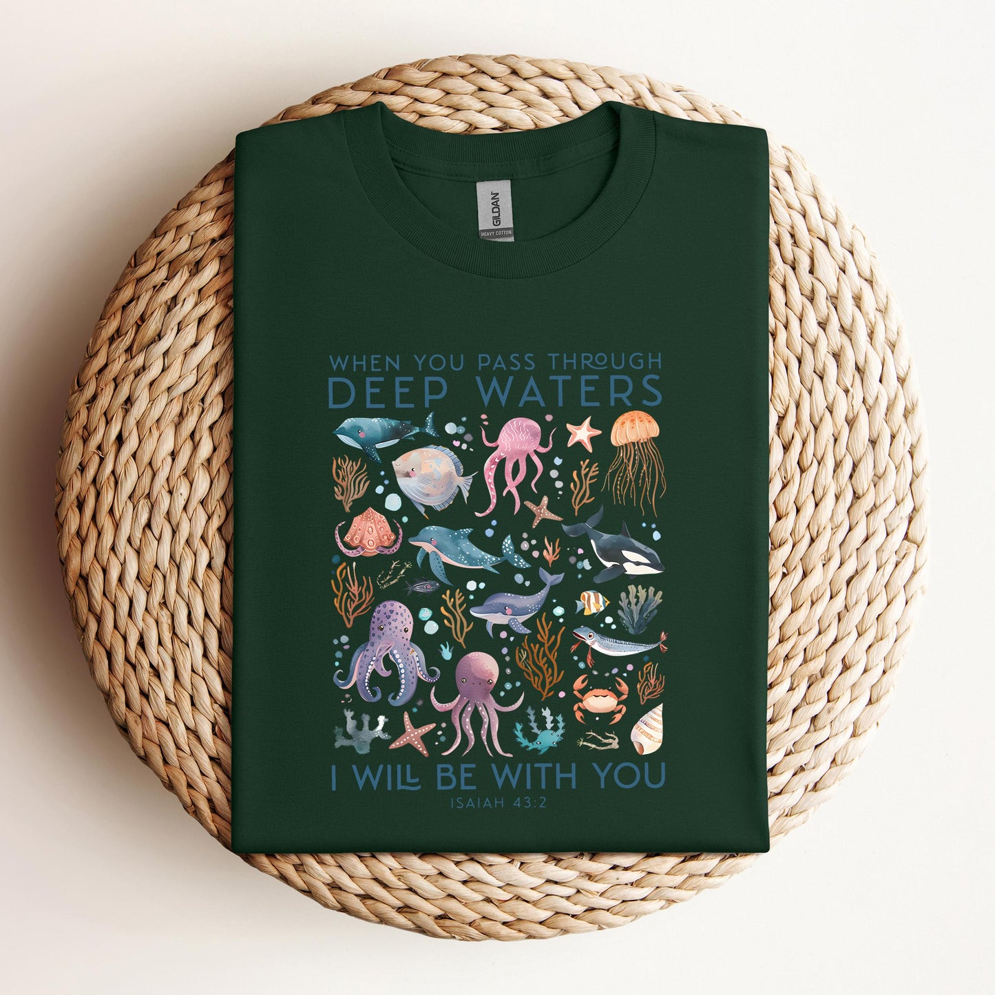 When You Pass Through Deep Waters I Will Be With You Isaiah 43.2