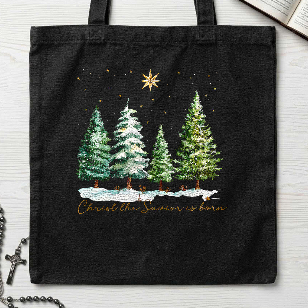 Christ The Savior Is Born 02