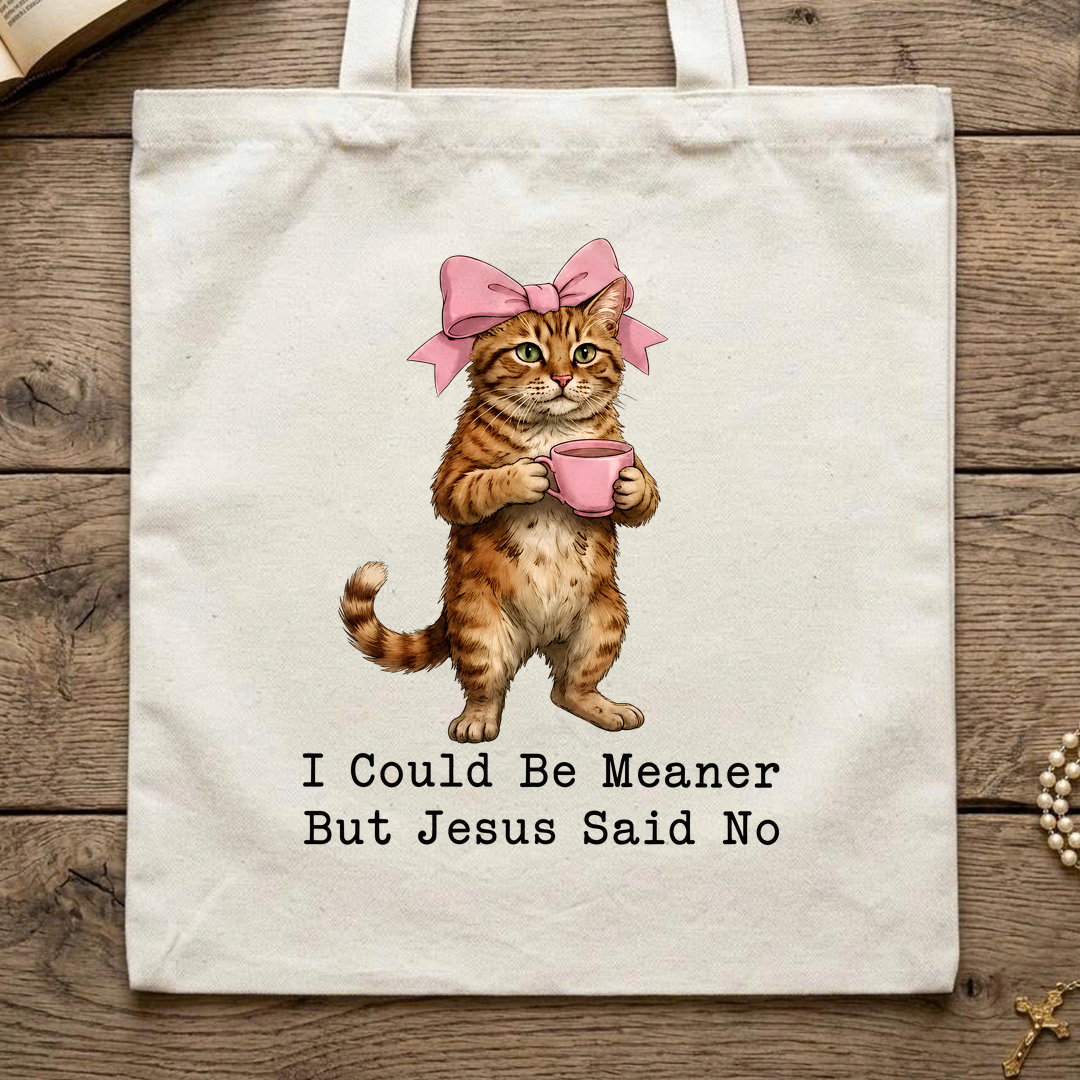 I Could Be Meaner But Jesus Said No 02
