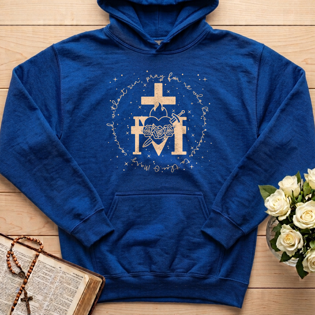 O Mary Conceived Without Sin Pray For Us Who Have Recourse To Thee 11