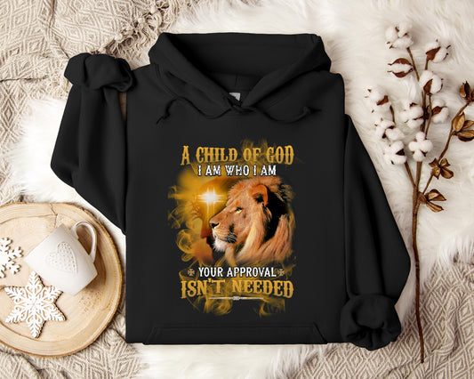 A Child Of God I Am Who I Am Your Approval Isn't Needed Hoodie