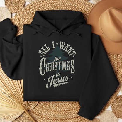 All I Want For Christmas Is Jesus 01