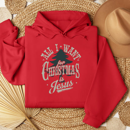 All I Want For Christmas Is Jesus 01