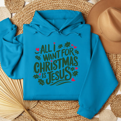 All I Want For Christmas Is Jesus