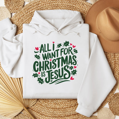 All I Want For Christmas Is Jesus