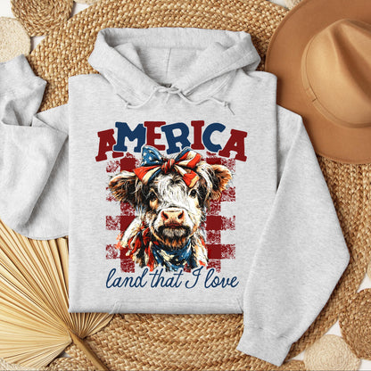 America land that I love 01
