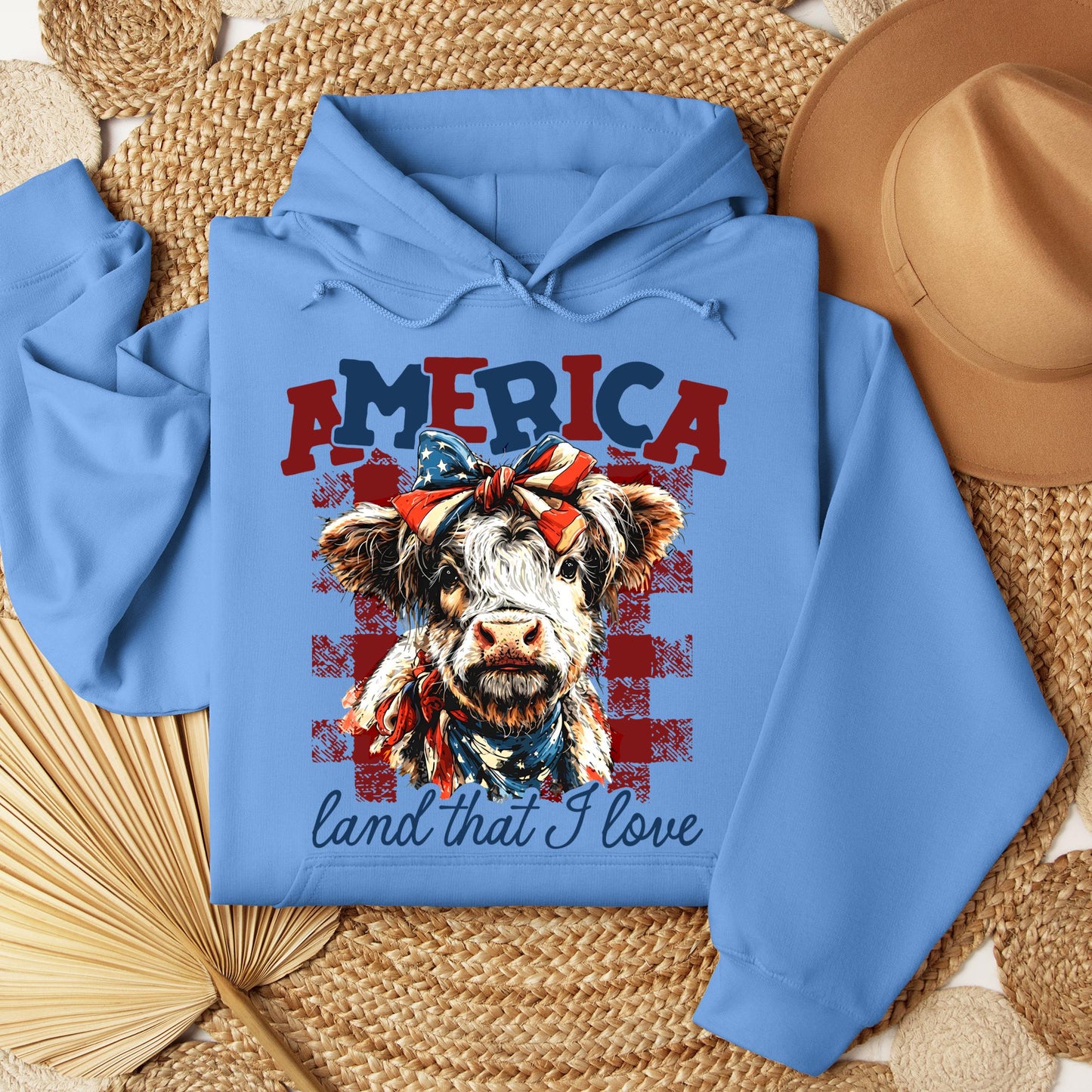 America land that I love 01