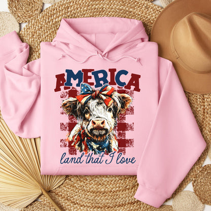 America land that I love 01