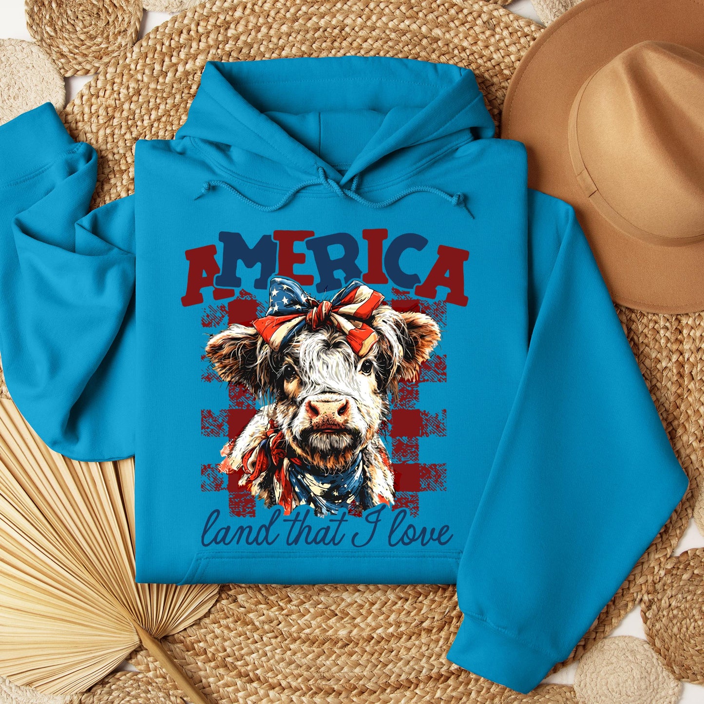 America land that I love 01