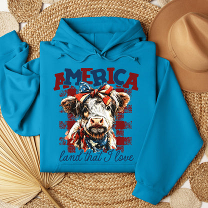 America land that I love 01