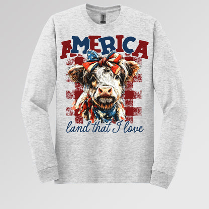 America land that I love 01