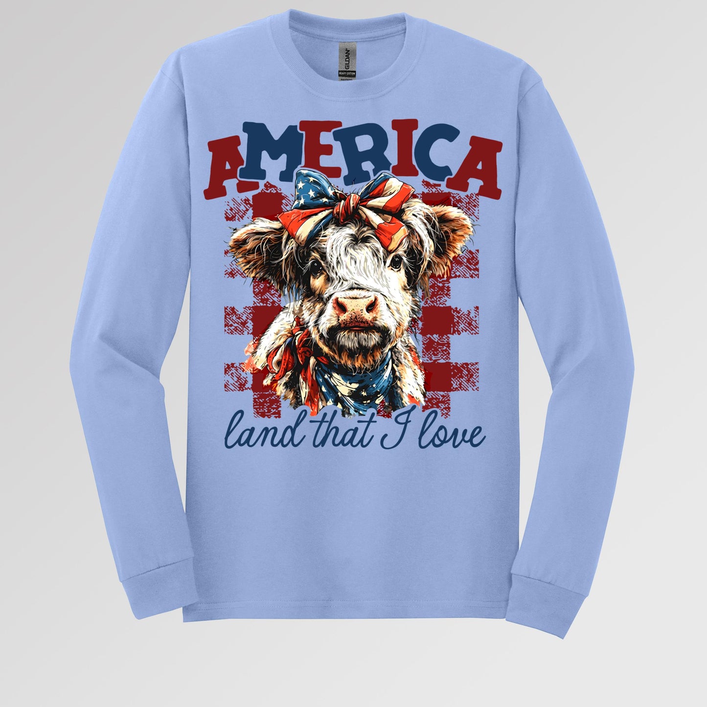 America land that I love 01