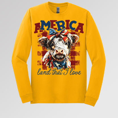 America land that I love 01