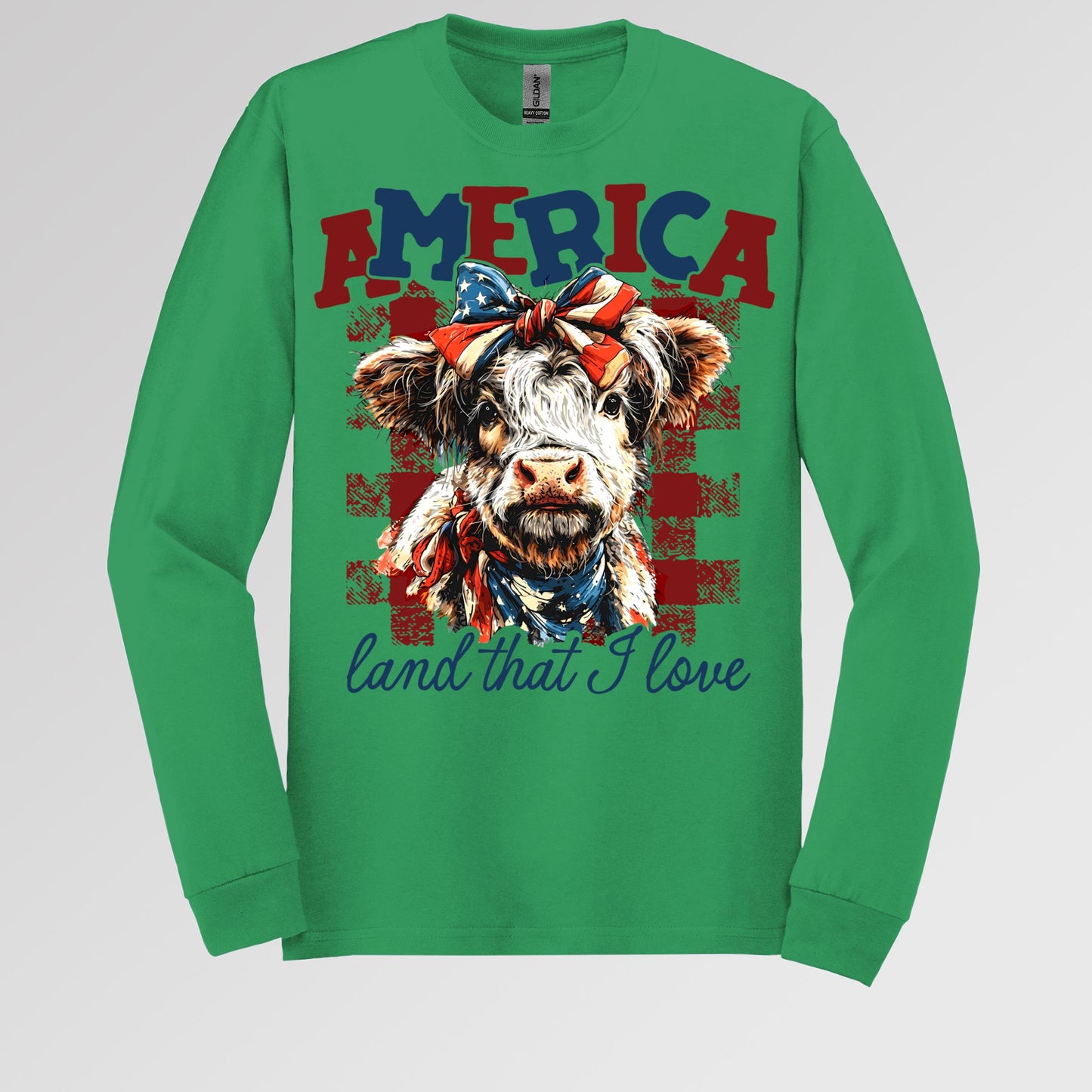 America land that I love 01