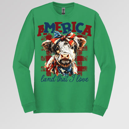America land that I love 01