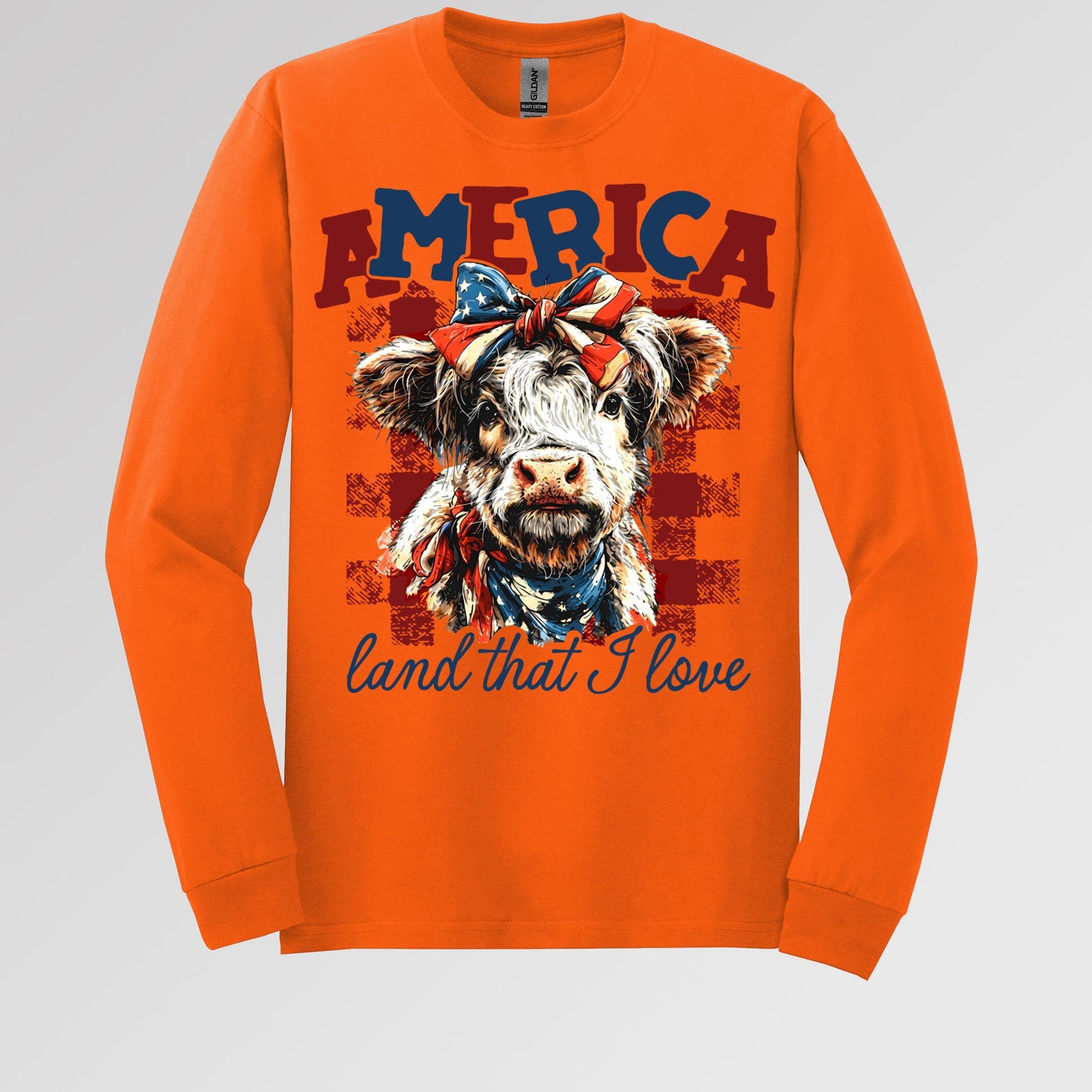 America land that I love 01