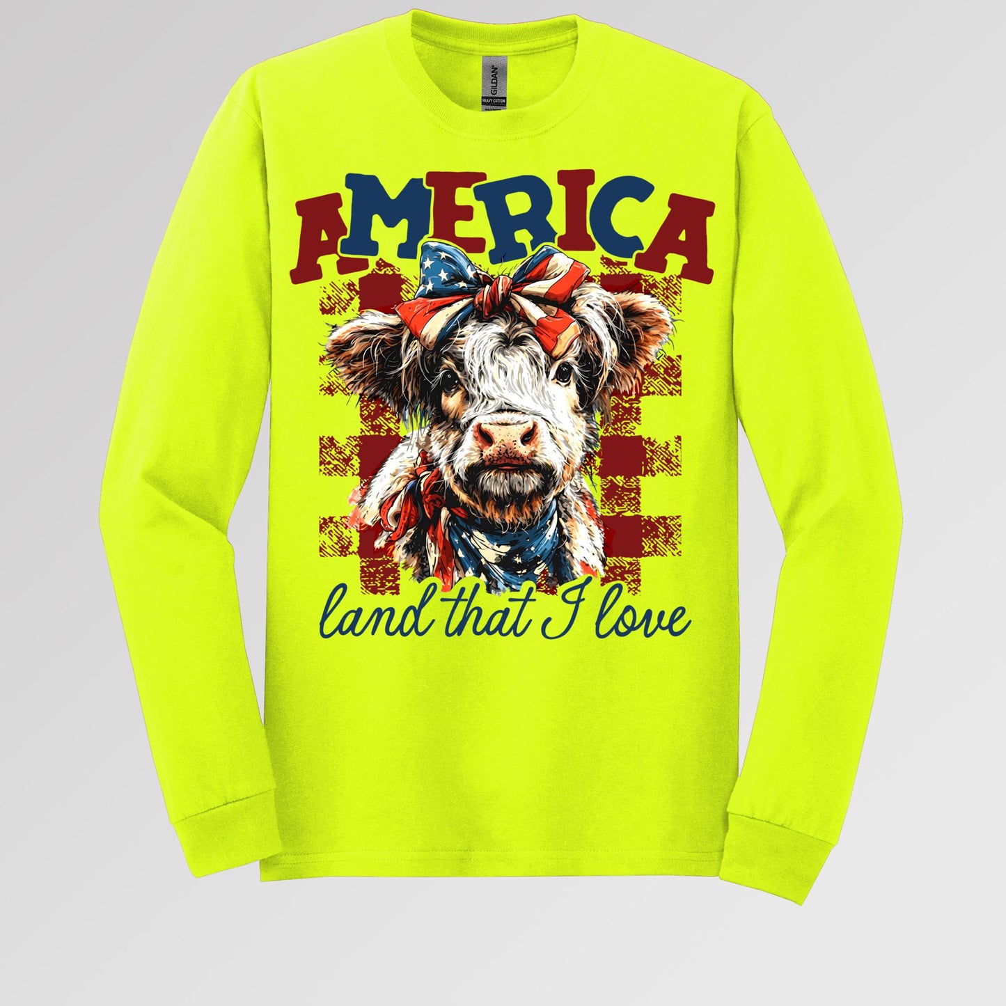 America land that I love 01
